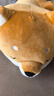 名创优品（MINISO）柴犬系列毛绒公仔趴姿玩具娃娃抱枕睡觉室内卧室办公室生日礼物 实拍图