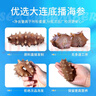 獐子岛 大连即食海参1200g 21-30只 固形物90%以上 海鲜水产送礼礼盒 实拍图