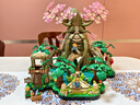 乐高（LEGO）积木77092 德库树2in1 新品玩具家居装饰礼物【D2C限定款】 实拍图