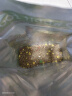 洁西全营养私房兔粮营养全阶兔粮兔子饲料幼兔成兔垂耳2.5kg*2包 实拍图