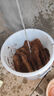 临雅大块椰砖营养土养花通用型椰糠椰土壤种菜专用粗椰壳耶砖花土种植 大块椰砖5块【9斤泡发大约60升】 实拍图