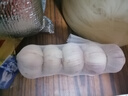 【产地直采】大蒜约200g 实拍图