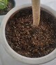 尚洋植物营养土通用种菜养花土壤盆栽种植土兰花多肉泥炭椰土15L 实拍图