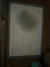 HONEYCARE好命家 宠物尿垫猫狗尿片 新手训导防漏尿布 厕所垫L码60*90cm 实拍图