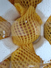 京鲜生 山东蒙阴水蜜桃净重3斤 单果150g+毛桃子 生鲜水果 源头直发 实拍图