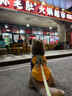 拉夫威尔ruffwear嗨轻狗狗胸背带狗背带中小型犬雪纳瑞背带式狗狗牵引绳 鼠尾草绿/雾森绿 L/XL 实拍图