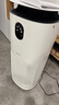东芝（TOSHIBA）宠物空气净化器猫用除醛除臭狗用大白梨PET大风量吸浮毛除过敏原等离子消毒杀菌异味【国家补贴】 实拍图