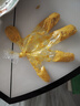1号会员店泰国活冻黑虎虾斑节对虾烧烤大虾海鲜水产净重2斤21-30只 实拍图