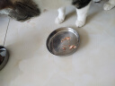疯狂小狗中大型犬狗粮成幼犬10kg宠物金毛彩虹魔方牛肉&青口贝犬粮20斤 实拍图