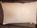 水星家纺枕头枕芯酒店枕头护颈枕头芯家用单个纯棉抗菌可水洗中枕48x74cm 实拍图