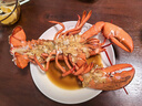 鲜活波士顿龙虾400-500g/只 实拍图