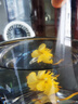 福东海 金莲花50克 新货金莲花茶 泡水泡茶干花 花草茶 养生茶 实拍图