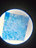 星微光学 生物显微镜专业 学生光学高倍2400X 儿童礼物实验仪器生物教学款 实拍图