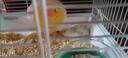 卡熙仓鼠笼子金丝熊专用超大豪华别墅47基础笼60便宜大的房子用品套装 47基础空笼-白色 实拍图
