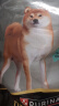 冠能狗粮消化舒适成犬狗粮全价7kg 天然益生元配方 改善肠胃敏感 实拍图