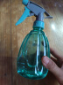 喷壶浇花浇水喷雾器气压式喷水壶家用园艺养花500ml 南瓜喷壶透蓝【1个装】 实拍图