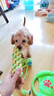 HELLOJOY狗狗玩具 耐咬磨牙棉绳球套装宠物幼犬小狗玩具自己玩解闷9件套 实拍图
