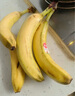 佳农 超甜香蕉700g 实拍图