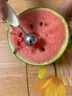 家の物语日本西瓜刀水果挖球器切片三合一水果刀多功能家用开西瓜不锈钢 实拍图