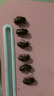 伊利金领冠育护【5倍DHA好脑力】幼儿奶粉3段(1-3岁)1200g三联装 实拍图
