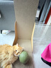 hoopet猫玩具猫薄荷球自嗨解闷磨牙洁齿神器猫猫小猫逗猫棒宠物猫抓板猫咪用品大全超大啃咬逗猫球 10cm猫薄荷球  自嗨利器 实拍图