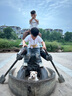 茨格曼狗狗牵引绳狗绳遛狗绳胸背带套装S码小型犬泰迪比熊小狗牵狗绳子 实拍图