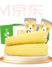 天勤粒粒净白糯玉米段120g*10段（2.4斤）新玉米糯玉米真空包装低脂早餐代餐 实拍图