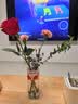 九千谷玻璃花瓶客厅桌面富贵竹水培植物插花瓶容器水波纹透明高20cm2363 实拍图