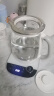 小熊（Bear）养生壶 1.8L大容量煮茶壶煮茶器 恒温保温一体烧水壶电水壶 玻璃面板 YSH-E18D8 大口径滤网 实拍图
