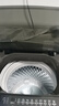 美的（Midea）波轮洗衣机全自动家用 MB80V36DT 8公斤变频 至高1.25洗净比超净洗 抗菌螨 以旧换新 家电国家补贴 实拍图