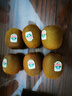 佳沛（zespri）绿奇异果经典果6粒 单果约86-103g   水果猕猴桃  源头直发 实拍图