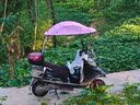 馗龙电动车雨棚新款电瓶车遮阳伞加宽加大电动摩托车遮雨棚蓬挡风罩 【实用款】【升降支架】动物世界 有后视镜拍 实拍图