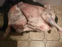 今友牧场内蒙古牛羊肉礼盒10斤 整条羊腿鲁西牛肉牛楠 烧烤食材国庆节送礼 实拍图