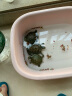 龟真寿 六合一龟粮 300g  乌龟饲料巴西龟虾干面包虫鱼干六拼草龟海鲜粮 实拍图