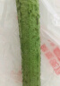 碧水长丝瓜约700g 实拍图
