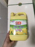 立白清新柠檬味洗洁精大桶1.5kg 除味去油去腥 餐具净洗涤灵洗碗液 实拍图