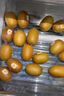佳沛（zespri）新西兰  阳光金奇异果25-27粒原箱特大果单果约122-146g  猕猴桃 实拍图