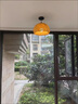 家逸 实木餐椅家用餐厅靠背餐桌椅客厅牛角椅办公椅创意简约餐桌椅子 实拍图