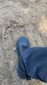蓝鸥盾劳保鞋男士冬季超轻防水防砸钢包头防刺安全工作工地鞋D251-1 43 实拍图