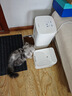 米家无线智能宠物饮水机2 小米猫咪饮水机喂水器自动循环 猫咪喂水机 实拍图