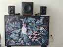 惠威（HiVi）M80W 2.1声道音箱旗舰8英寸低音炮家用客厅桌面音响苹果安卓手机笔记本电脑音响 实拍图