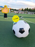 TaTanice充气大足球户外草坪沙滩玩具儿童足球巨型皮球幼儿园专用礼物 【加厚】100CM大足球【送充气筒】 实拍图