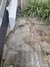 家可美（jiakemei）水泥地面清洁剂院子黑垢青苔油污地板强力去污庭院瓷砖石材清洗剂 2500ml 1瓶 水泥地清洗剂 晒单实拍图