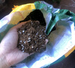 尚洋植物营养土通用种菜养花土壤盆栽种植土兰花多肉泥炭椰土15L 实拍图