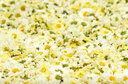 贡苑花草茶 菊花茶贡菊30g黄山原产 特优级白菊花杭菊花泡水养身凉茶 实拍图
