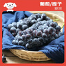 京鲜生 夏黑无籽黑提 蓝莓葡萄 2斤装 生鲜水果 酸甜口感易掉粒 实拍图