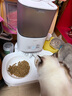 霍曼（Homerun）宠物智能自动喂食器猫粮狗粮定时猫咪自动投食机陶瓷双碗增高版 实拍图
