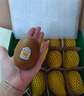 佳沛（zespri）新西兰  阳光金奇异果10粒礼盒巨大果单果约144-175g 水果 猕猴桃 实拍图