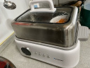 蓝宝（BLAUPUNKT）不锈钢电蒸锅多功能蒸炖锅10L双层蒸笼蒸炖一体24H智能预约煮锅蒸包子早餐电炖锅ZG03B 实拍图