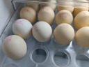 黄天鹅鸡蛋可生食鸡蛋30枚鸡蛋单枚60g新鲜鸡蛋L级大蛋端午礼盒 实拍图